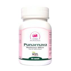 Punarnava, tonic al cailor urinare 400mg, 60cps - Herba Ayurvedica