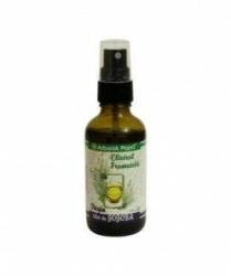 Ulei de Jojoba, 10ml - Arboria Plant