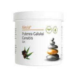 Balsam Puterea Calului cu Canabis, 250 ml, Alevia