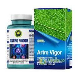 Artro Vigor, mentine sanatatea articulatiilor, 60 capsule, Hypericum