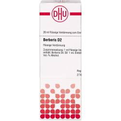 Berberis D 2 Dilution 20 ml
