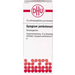 Syzygium Jambolanum C 30 Globuli 10 g