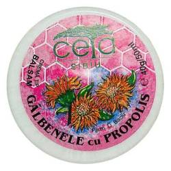 Unguent cu galbenele si propolis, 40g - CETA