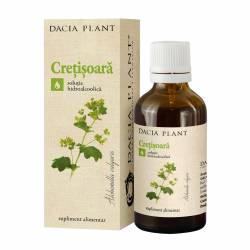 Tinctura cretisoara x 50ml (DaciaPl) 20%