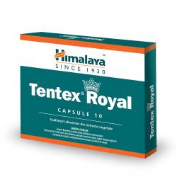 Tentex Royal x 10cps (Himalaya)