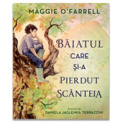 Baiatul care si-a pierdut scanteia - Carte - Editura DPH