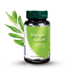 Mangan natural, ajuta la fixarea fierului si a calciului in organism, 30 capsule, DVR Pharm