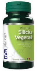 Siliciu vegetal, 30 capsule, DVR Pharm