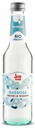 Bautura carbogazoasa cu ghimbir, eco-bio, 275 ml, Bio Plose