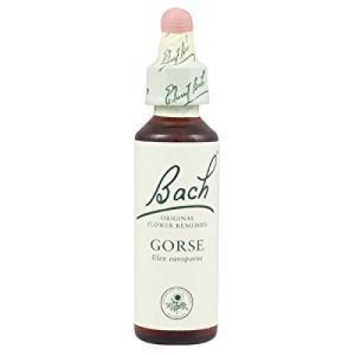 Gorse - Orez Salbatic ( Bach13) 20ml - Remdiu Bach Floral