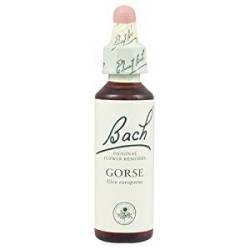 Gorse - Orez Salbatic ( Bach13) 20ml - Remdiu Bach Floral