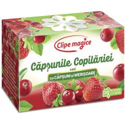 Ceai cu capsuni si merisoare, Capsunile Copilariei, 20 plicuri, Fares