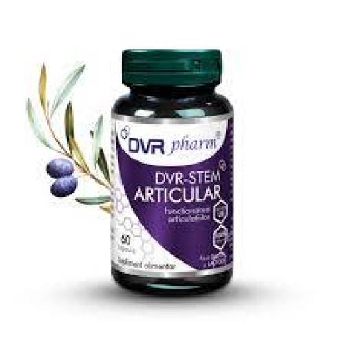 DVR-Stem Articular, 30 capsule, DVR Pharm