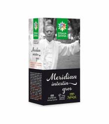 MERIDIAN INTESTIN GROS 60cps, Steaua Divina