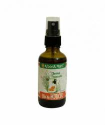 Ulei de morcov 100ml  - Arboria Plant