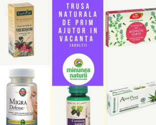 Trusa de prim ajutor in concediu adulti