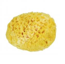 Burete natural de mare Honeycomb Spugnificio Bellini nr.12, 1 bucata, Dr. Brown's