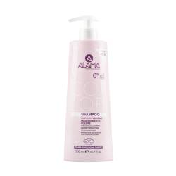 Sampon pentru protectia culorii parului vopsit, 500ml, Alama Professional